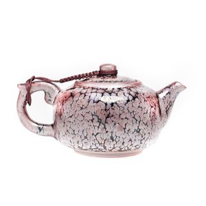 succulent teapot handmade jianzhan tenmoku teapot 1.jpg